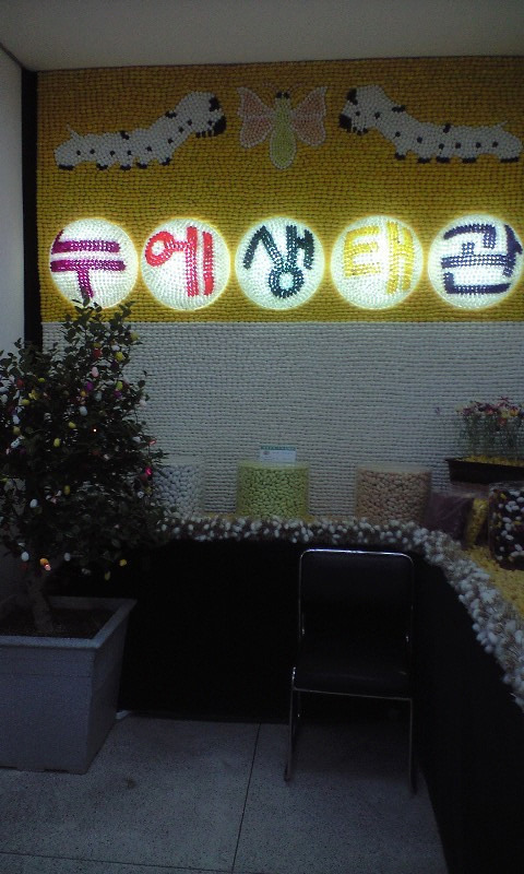 봉황농협 이미지