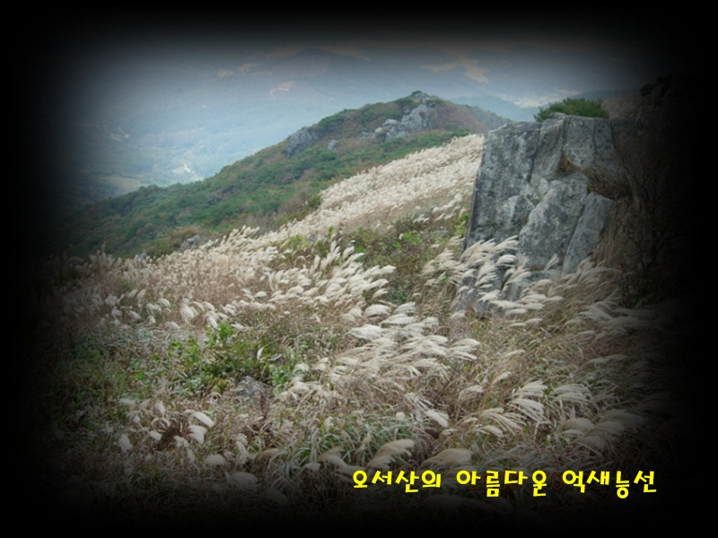 서해바다젓갈 이미지