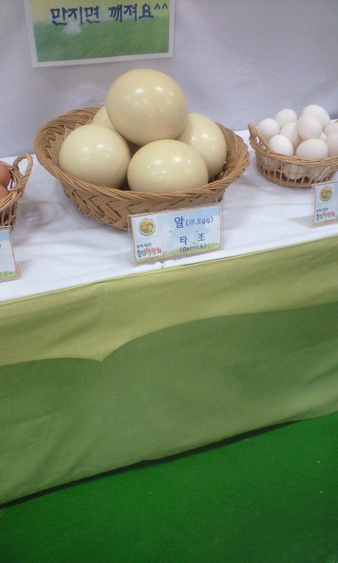 봉황농협 이미지