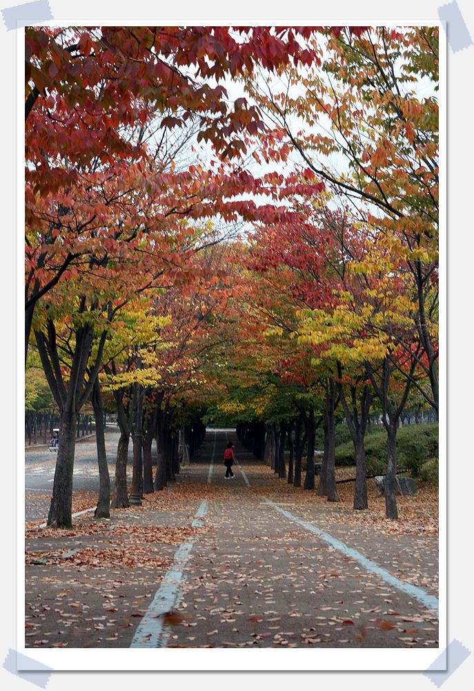 만추공 이미지