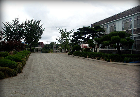 홍북초등학교 이미지