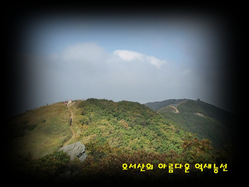 서해바다젓갈 이미지