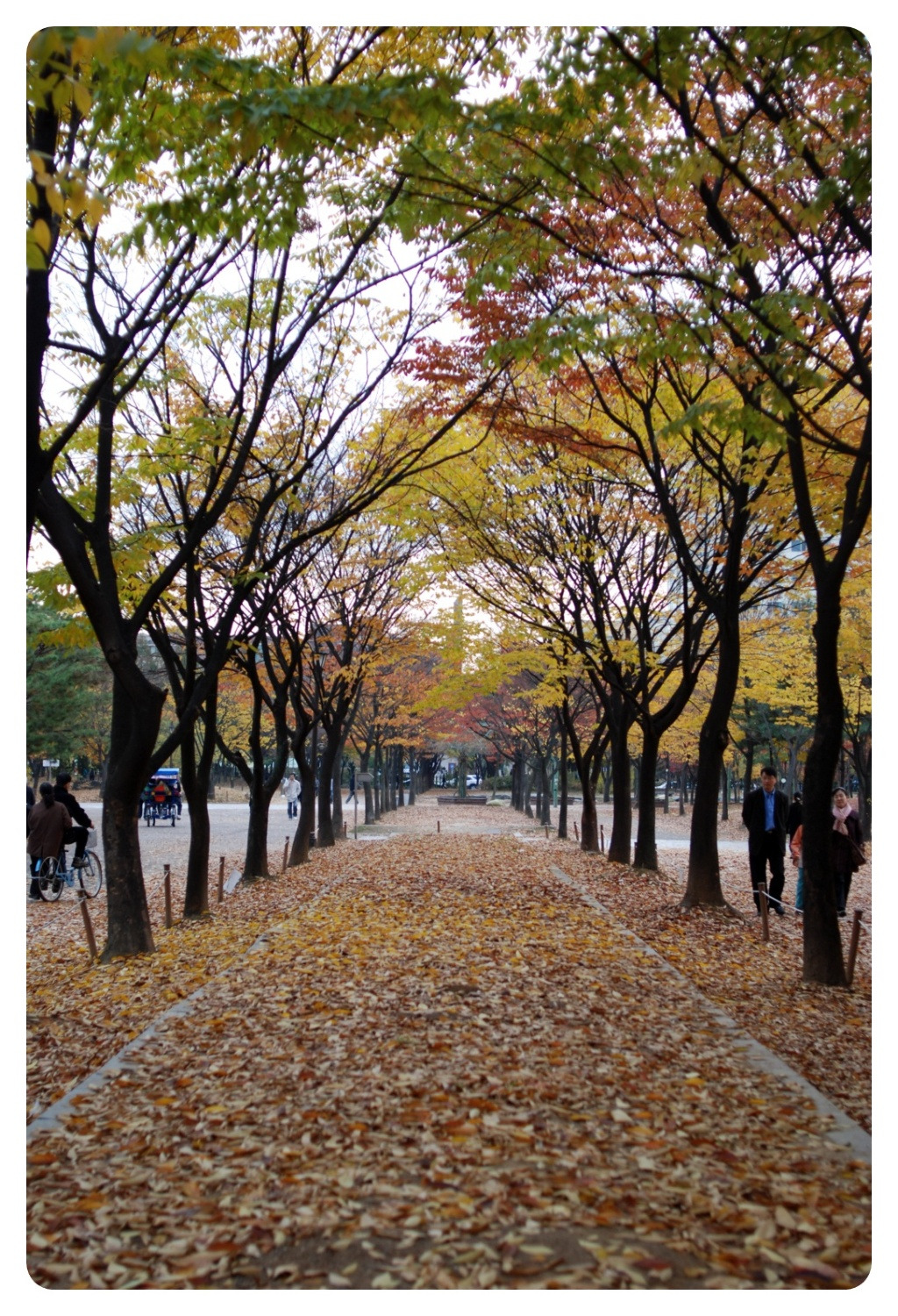 중앙화원 이미지