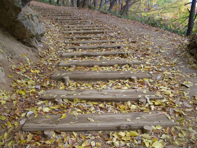 배달성전삼성궁 이미지