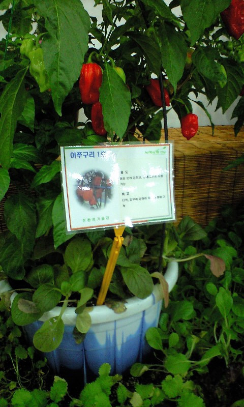 봉황농협 이미지