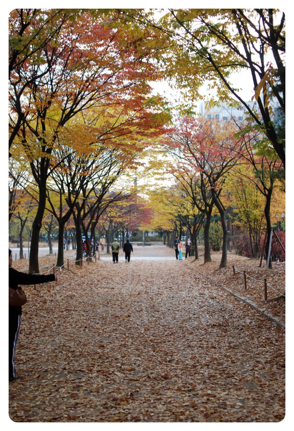 중앙화원 이미지